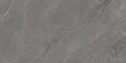 Infinity Ceramic Astonia Grey Glossy Golden Line Серый Глянцевый Керамогранит 60х120 см