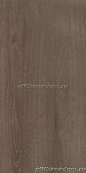 Paradyz Domus Brown Настенная плитка 30х60 см