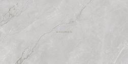 Infinity Ceramic Astonia Silver Glossy Silver Line Серый Глянцевый Керамогранит 60х120 см