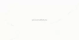 Ocean Ceramic Onyx White Белый Керамогранит полированный 60х120 см