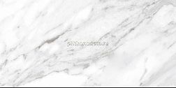 Ceracasa Nuit North Gloss White Керамогранит 49,1x98,2 см