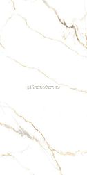 Primavera Bellevue Керамогранит PR218 Gold Polished 60x120