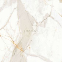 Ceradim Calacatta Superior Белый Полированный Керамогранит 60х60 см